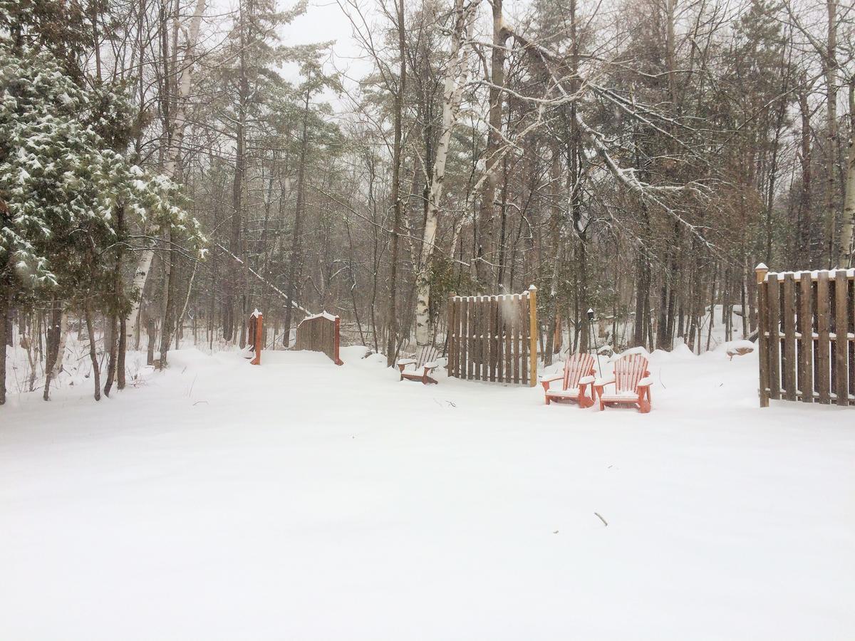 Adirondack Spruce Lodge Wilmington Ngoại thất bức ảnh