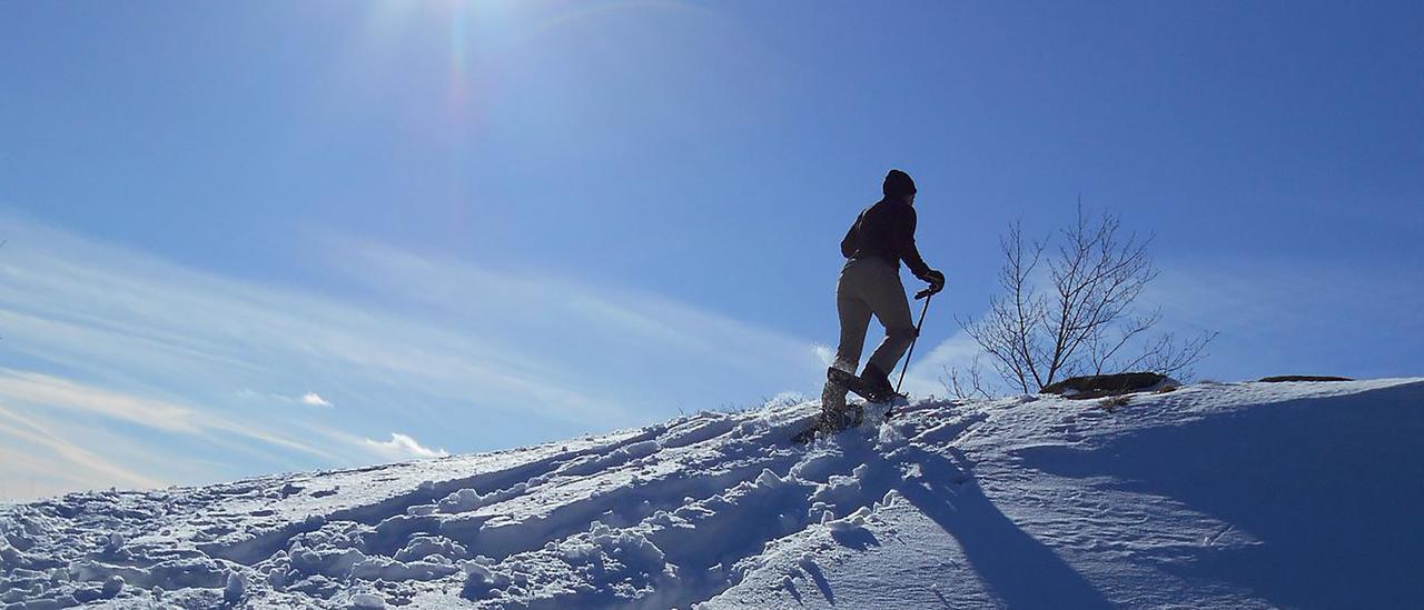 Adirondack Spruce Lodge Wilmington Ngoại thất bức ảnh